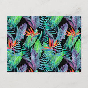 Cartão Postal Ave Aquarela De Paraíso 2