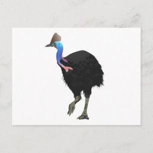 Cartão Postal Ave Cassowary