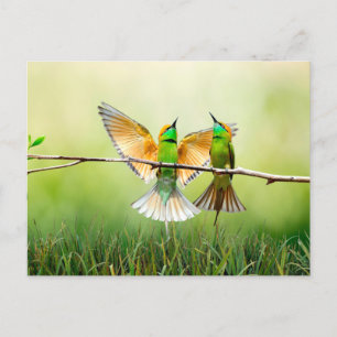 Cartão Postal Ave Colorida Europeia De Abelhas