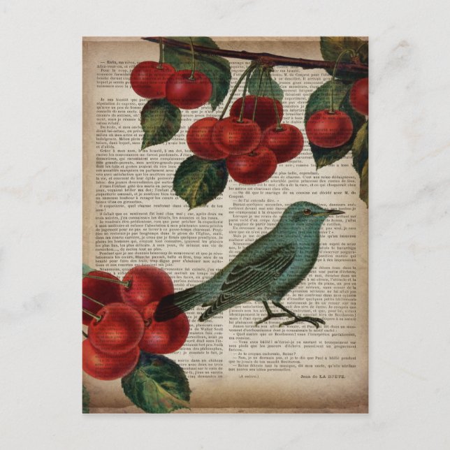 Cartão Postal ave francesa retro botanical red cherry (Frente)