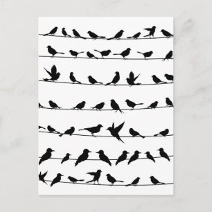 Cartão Postal Ave no fio4