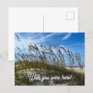 Cartão postal "Aveia Marítima"