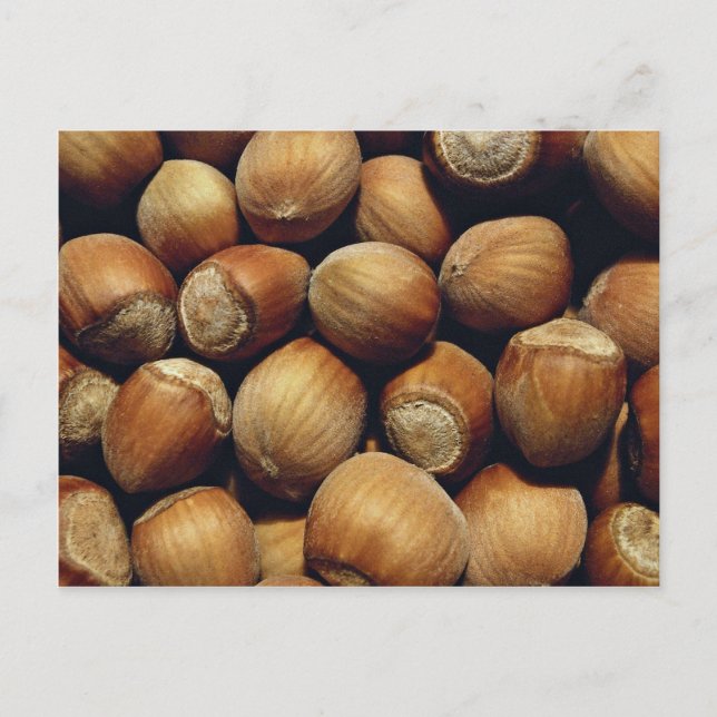 Cartão Postal avelã selvagem (Frente)