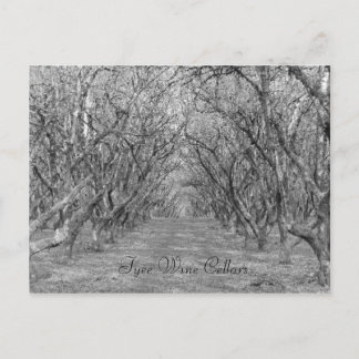 Cartão Postal Avelãs de qualidade