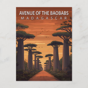 Cartão Postal Avenida dos Baobás Madagascar Natureza Africana