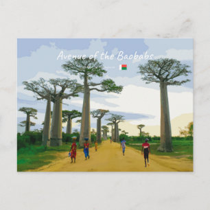 Cartão Postal Avenida dos Baobás, Madagascar - Paisagem