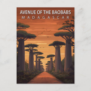 Cartão Postal Avenida Vintage dos Baobás Madagascar Viagem