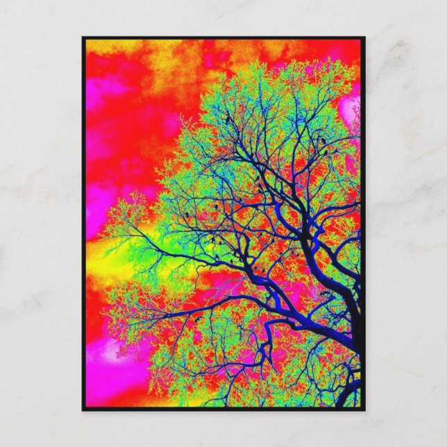 Cartão Postal Aves (Frente)