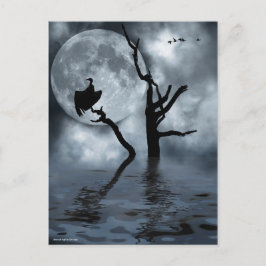 Cartão Postal Aves à noite