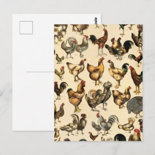 Cartão Postal Aves Antigas do Mundo Arte de Raças de Galinhas