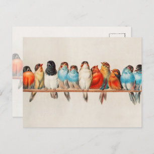 Cartão Postal Aves Coloridas Vintage Watercolor Nature Willife