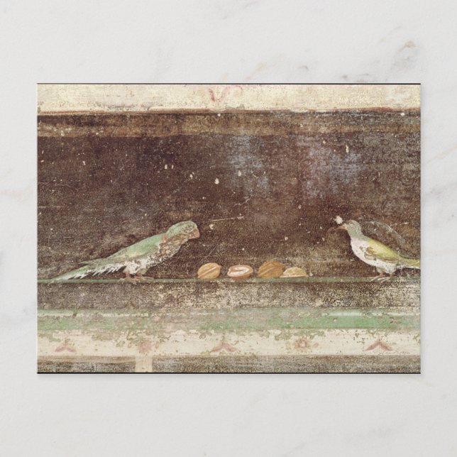 Cartão Postal Aves comendo loucos (Frente)