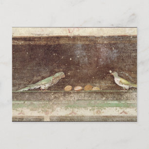 Cartão Postal Aves comendo loucos