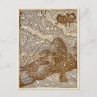 Cartão Postal Aves de inverno