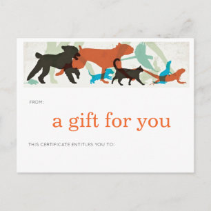 Cartão Postal Aves de Natação de Peixes Voam Cães Caminham Caçad