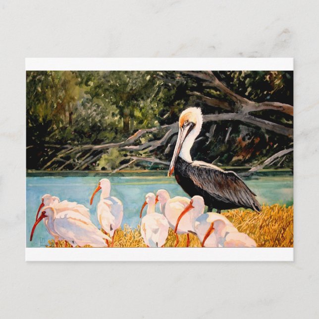 Cartão Postal Aves de uma pena (Frente)