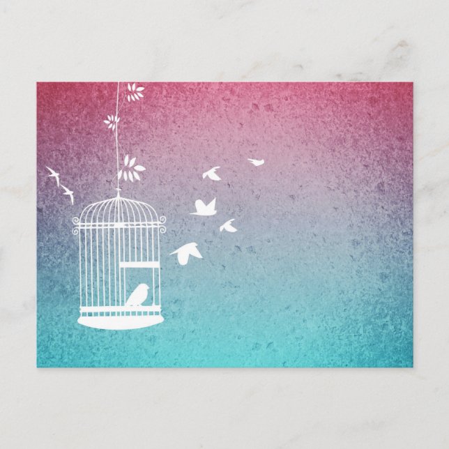 Cartão Postal Aves e Aves Vintage (Frente)