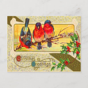 Cartão Postal Aves e Holly