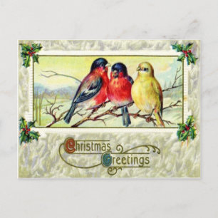 Cartão Postal Aves e Holly