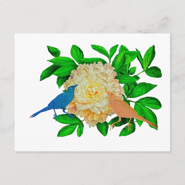 Cartão Postal Aves e Poster de flores (Frente)