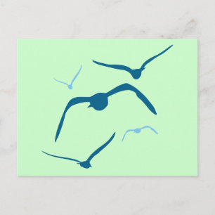 Cartão Postal Aves em Voo