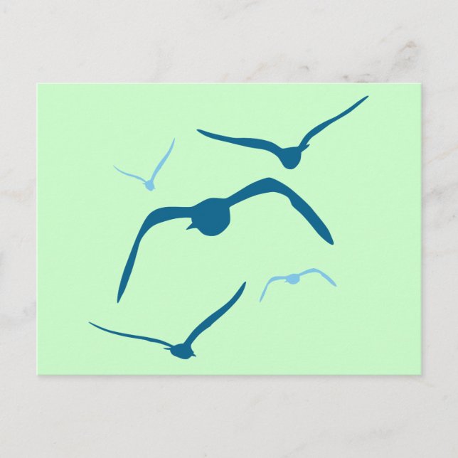 Cartão Postal Aves em Voo (Frente)