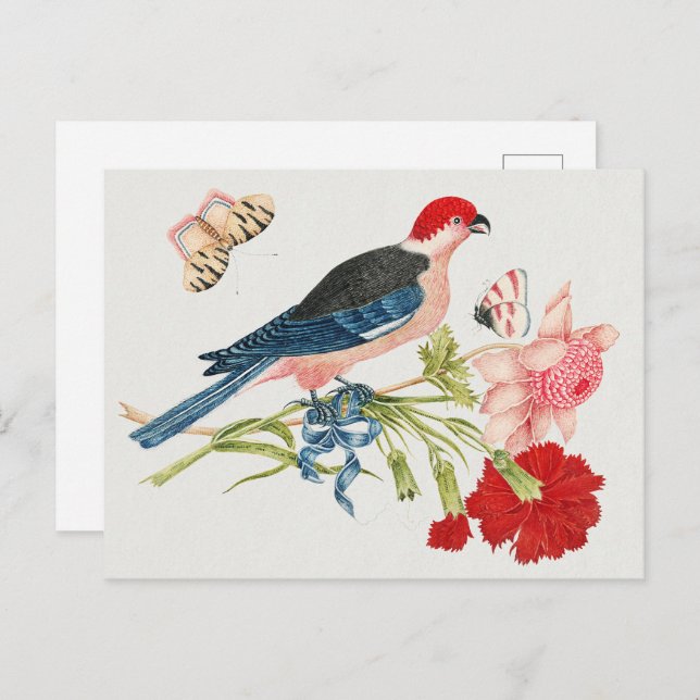 Cartão Postal Aves, Flores e Borboletas do século XVIII (Frente/Verso)