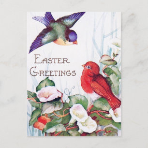 Cartão Postal Aves Morning Glória - Páscoa Retroativa