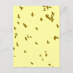 Cartão Postal Aves no Céu