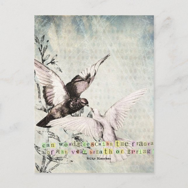 Cartão Postal Aves primavera (Frente)
