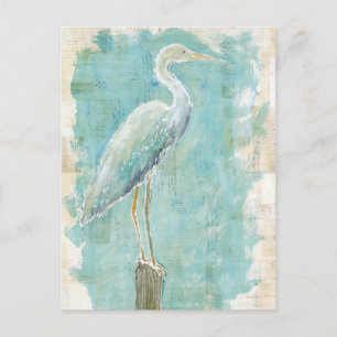 Cartão Postal Aves Tropicais Egret Estático