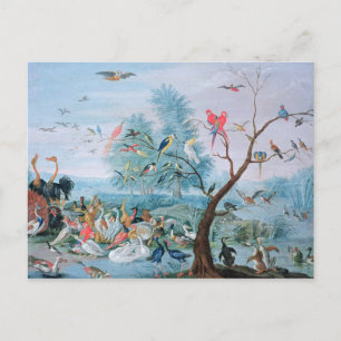 Cartão Postal Aves tropicais em paisagem