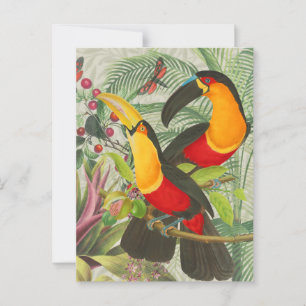 Cartão Postal Aves Tropicais Vibrantes Turianos Arte Selva Exóti