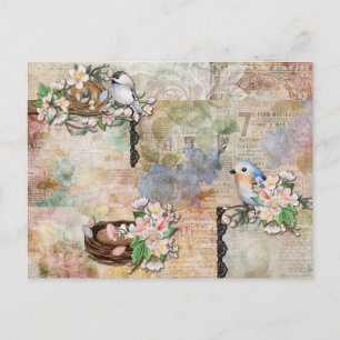 Cartão Postal Aves Vintage e Colagem de Ephemera