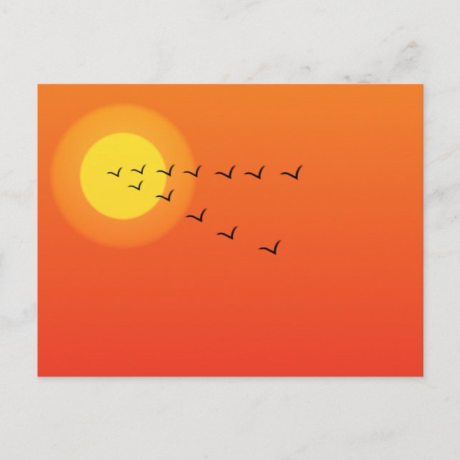 Cartão Postal Aves voando ao sol (Frente)