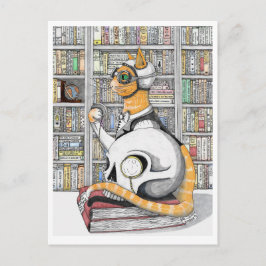 Cartão Postal: Aviação para gatos