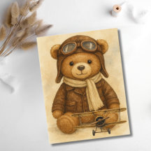 Avião Antigo Urso Teddy Fofo Aviador Aviação