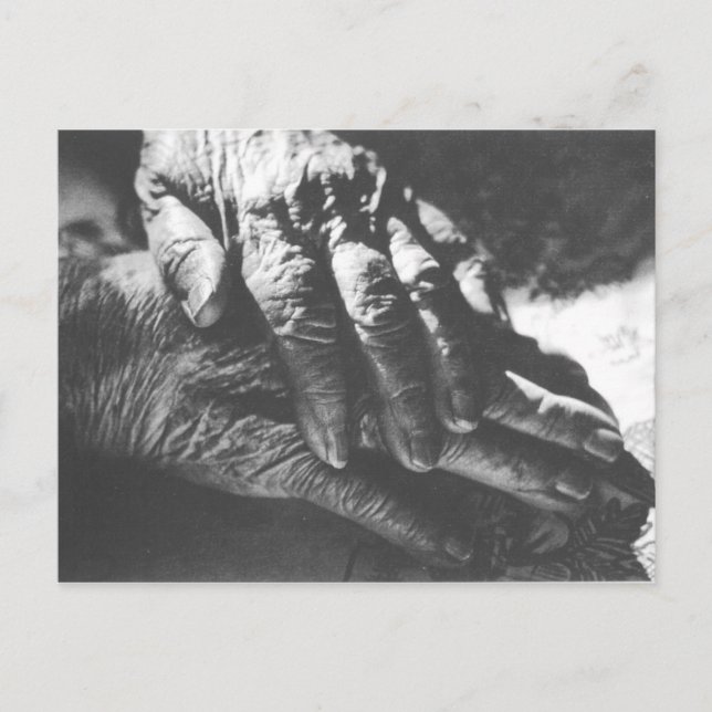 Cartão Postal Avó Mãos (Frente)