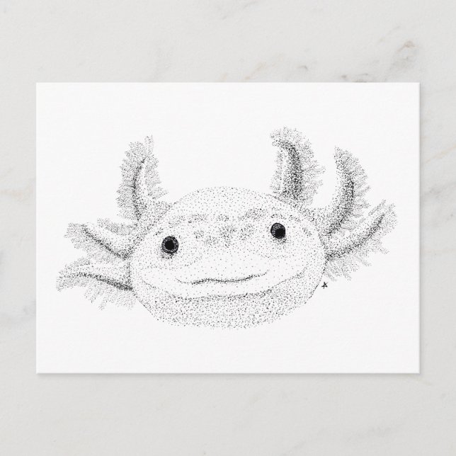 Cartão Postal Axolotl (Frente)