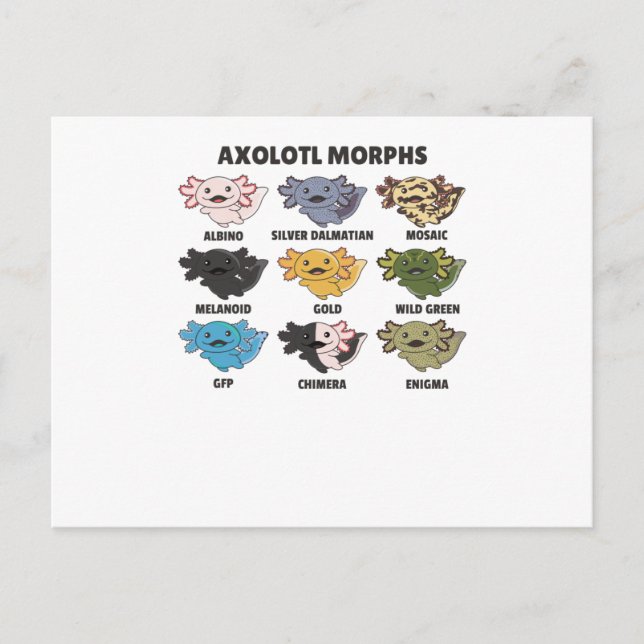 Cartão Postal Axolotls Do Axolotl Para Animais Doces Do Mundo (Frente)