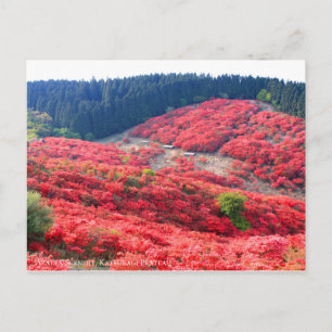Cartão Postal Azalea Scenery:Cartão-postal