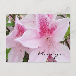 Cartão Postal Azaleas cor-de-rosa suave - Obrigado Cartão-postal