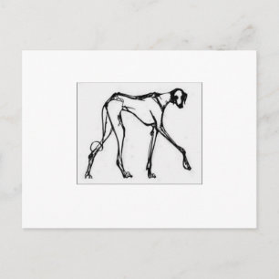 Cartão postal Azawakh 2