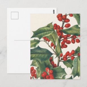 Cartão Postal Azevinho Clássico de Natal com Arte de Frutas Verm