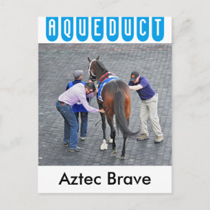 Cartão Postal Aztec Brave