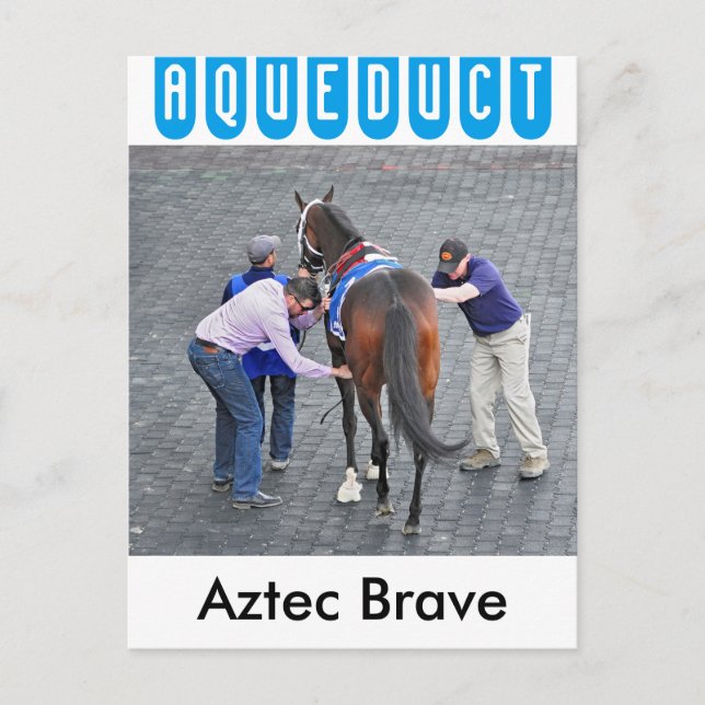 Cartão Postal Aztec Brave (Frente)