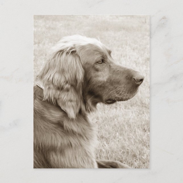 Cartão Postal Azul Antigo (Frente)