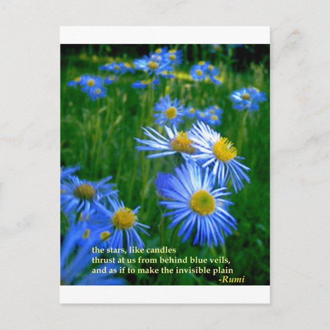 Cartão Postal Azul-azul (Frente)