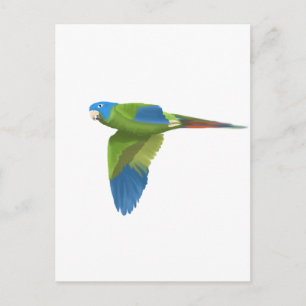 Cartão Postal Azul-coroado