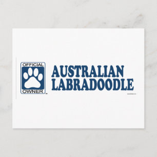 Cartão Postal Azul de Labradoodle do australiano